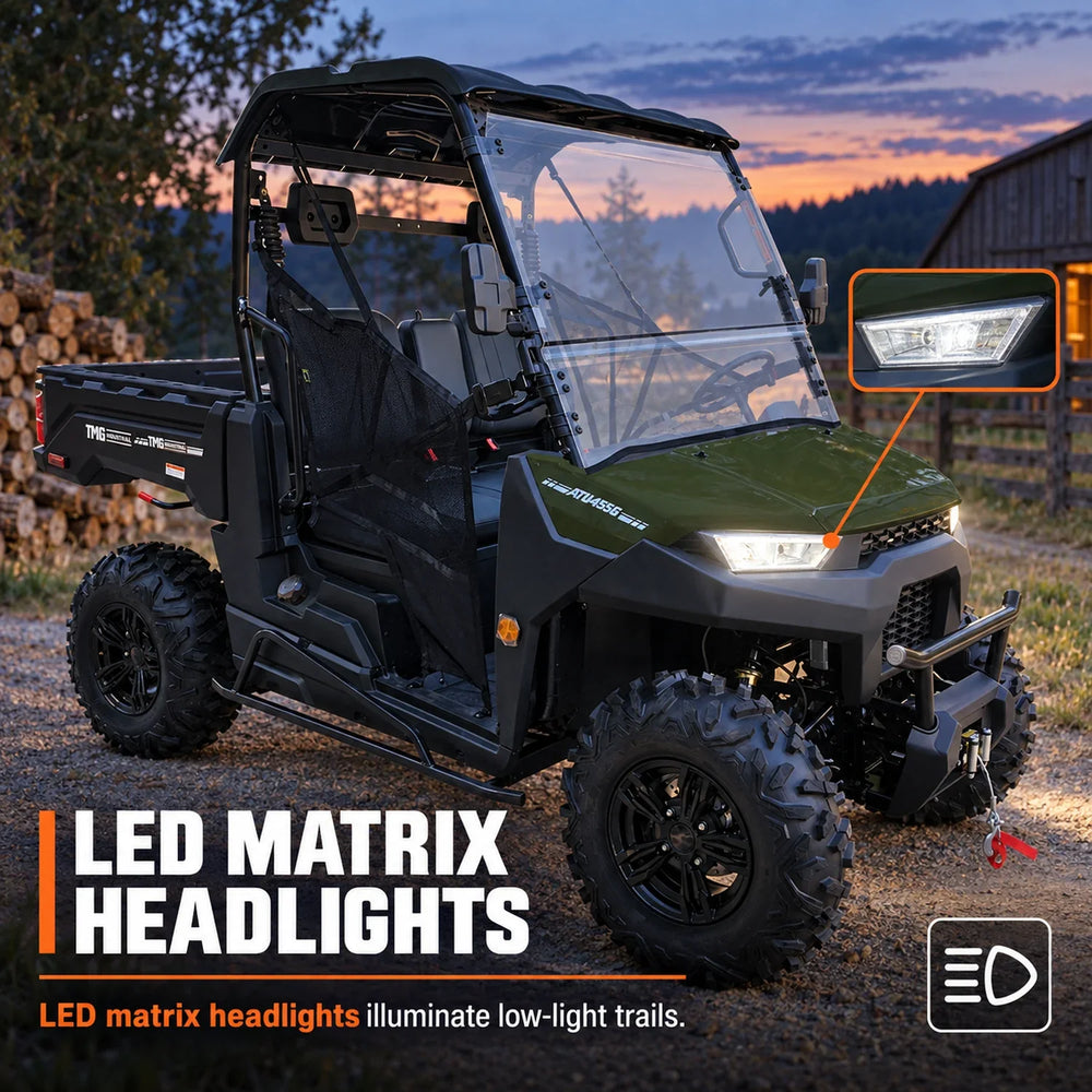 Côte à côte 4x4 de 352 cc