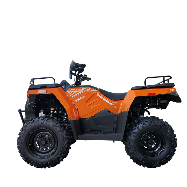 VTT 4x4 de 275 cc