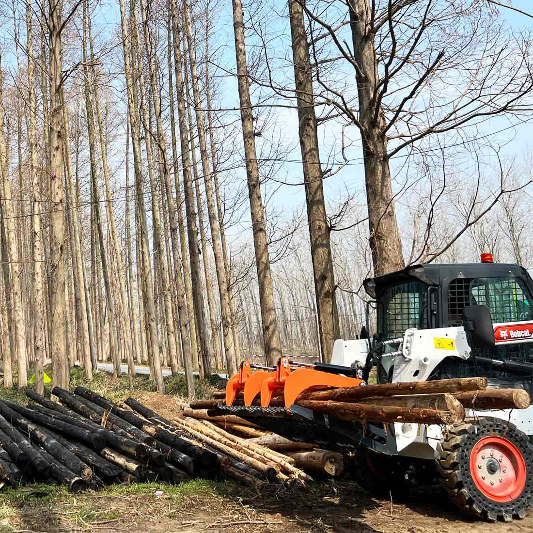 Fond à dents squelette pour tamiser